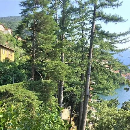 Louisa Tivan Apartment Nesso